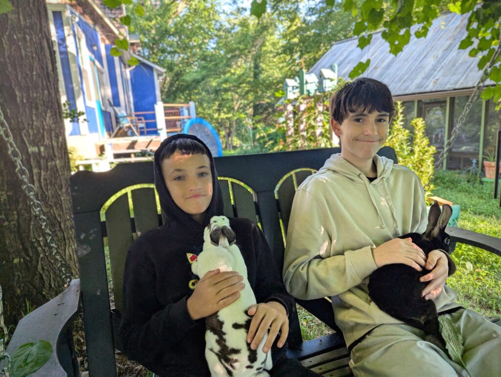 PXL_20250704_122958841.MP-EDIT